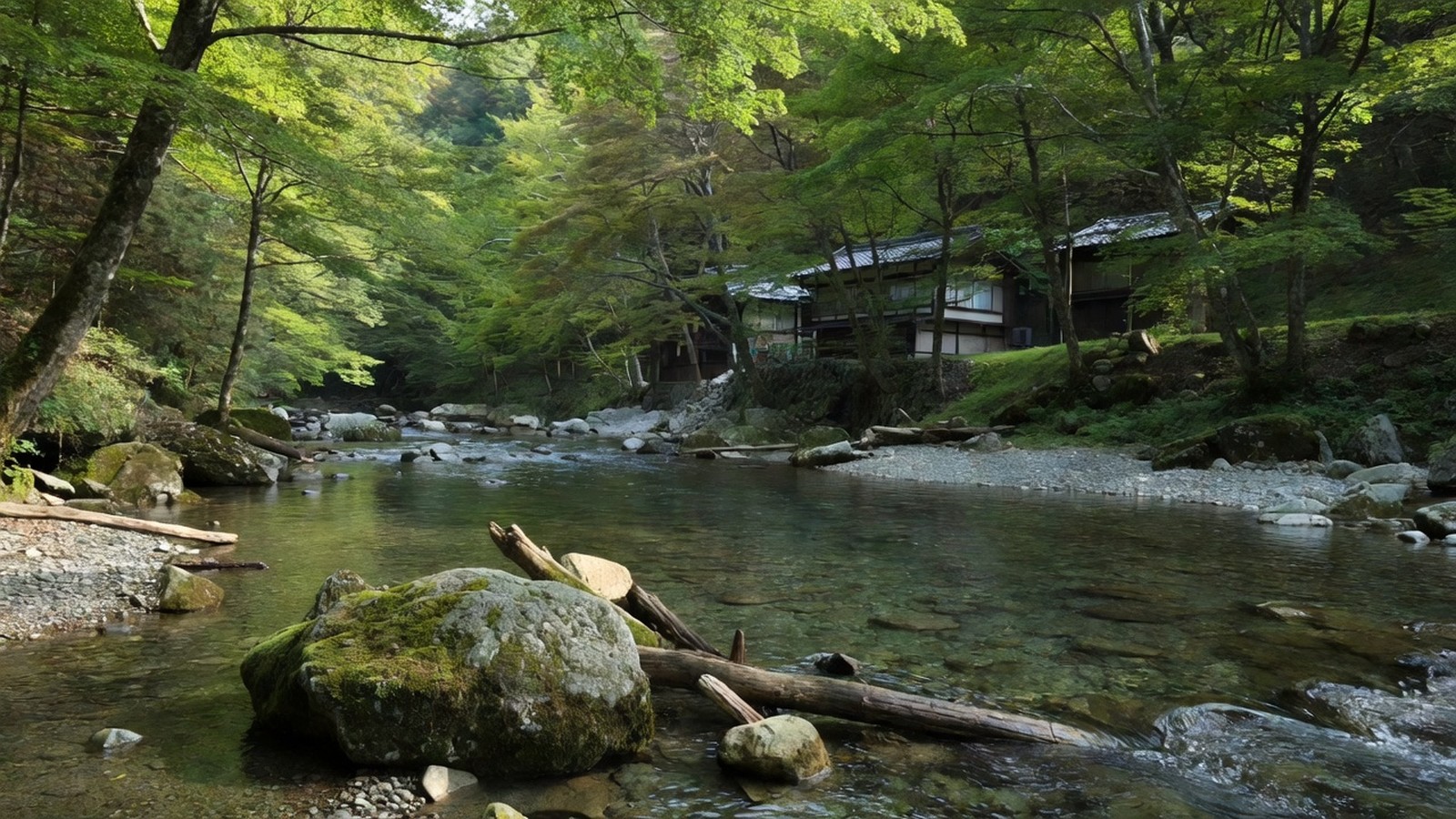 新緑の川沿い